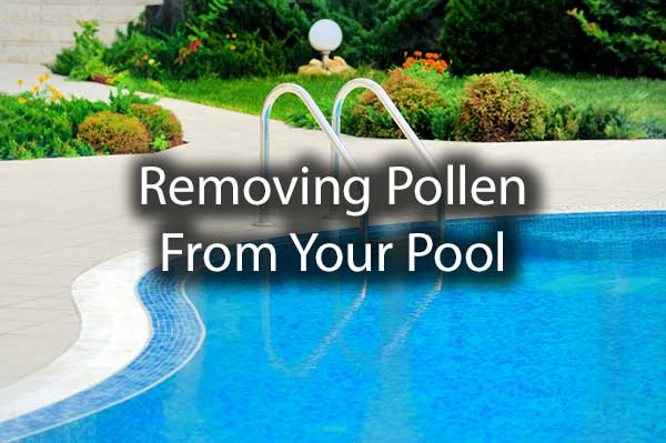 A gorgeous shot of a pool with the words, removing pollen from your pool.