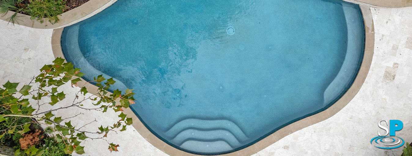 free form pool from up above