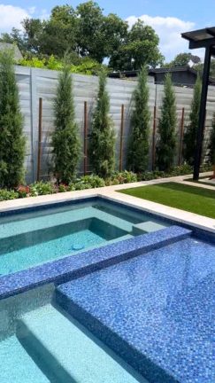 A detailed view of a modern swimming pool featuring a shimmering cobalt blue glass-tiled sun shelf and an integrated spa. The design is framed by light stone coping and a lush privacy border of tall, slender evergreen trees against a sleek horizontal gray fence.